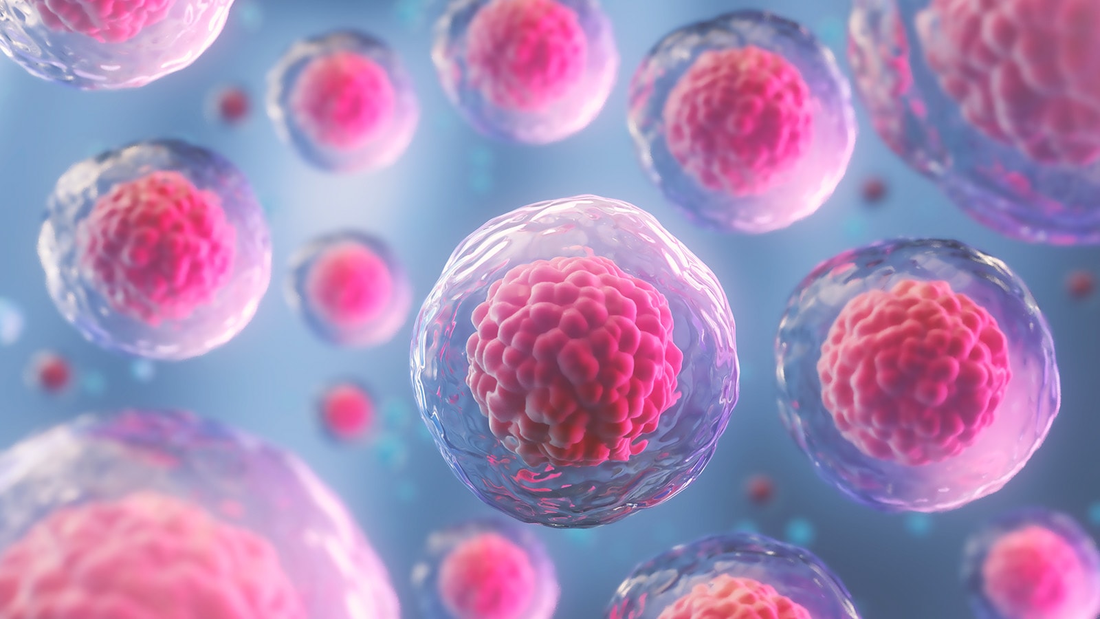 image of cells