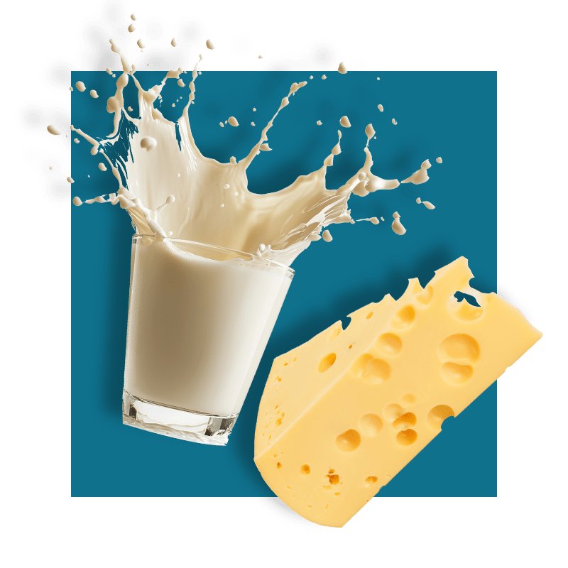 image of milk and cheese