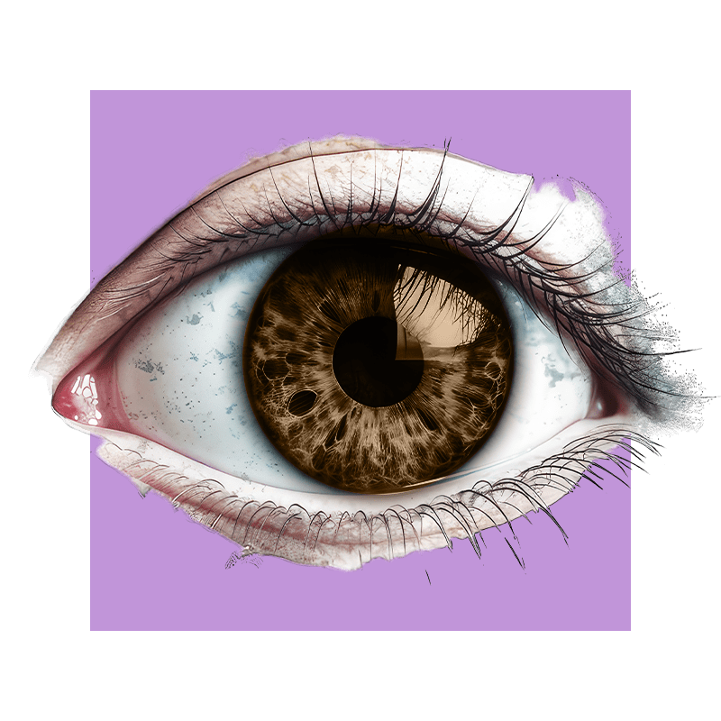 image of an eye