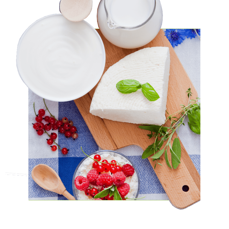 image of milk, chesse, and sour cream