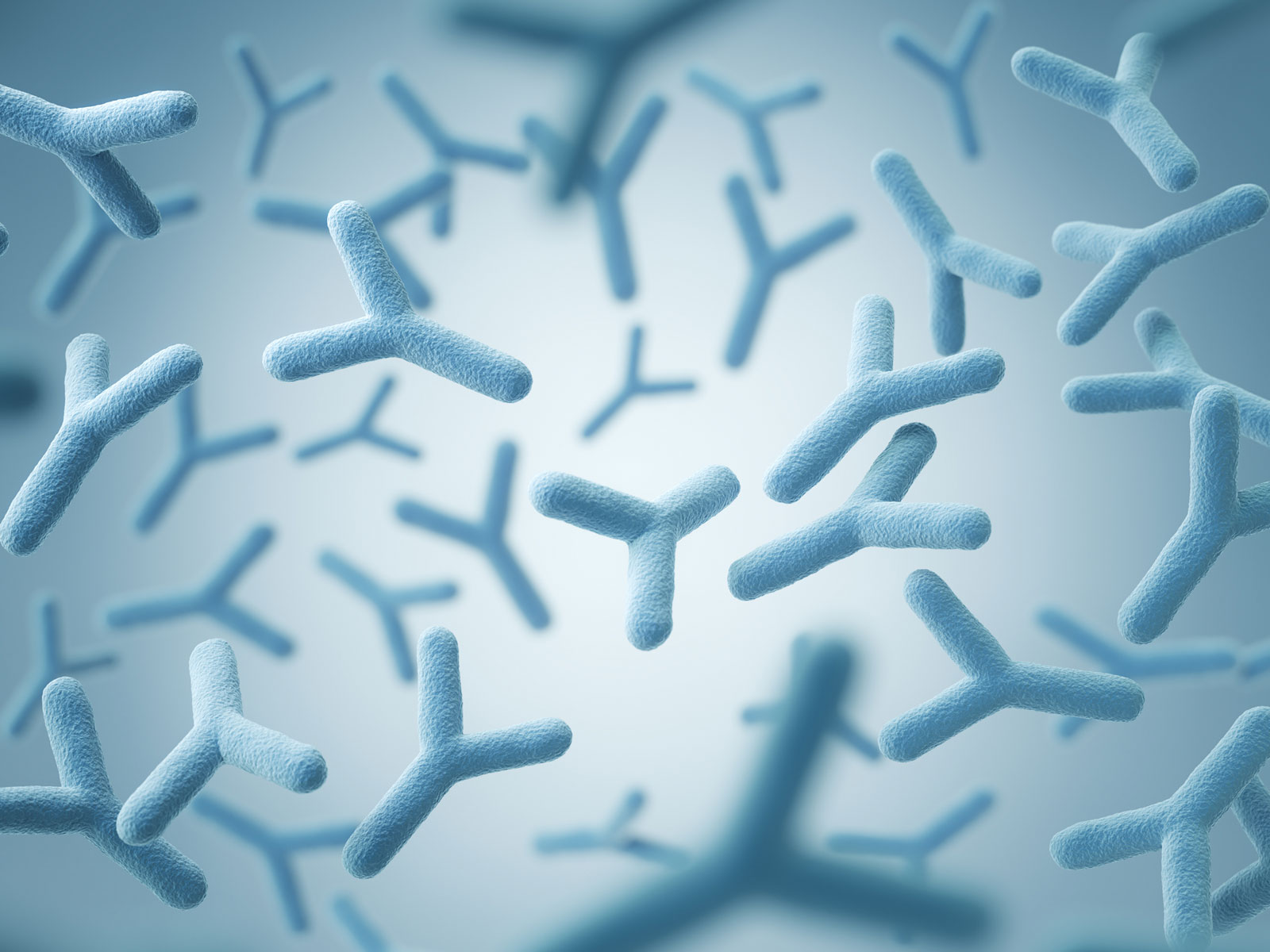 image of probiotic bacteria