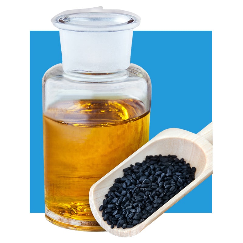 image of Black Cumin Seed Extract Oil
