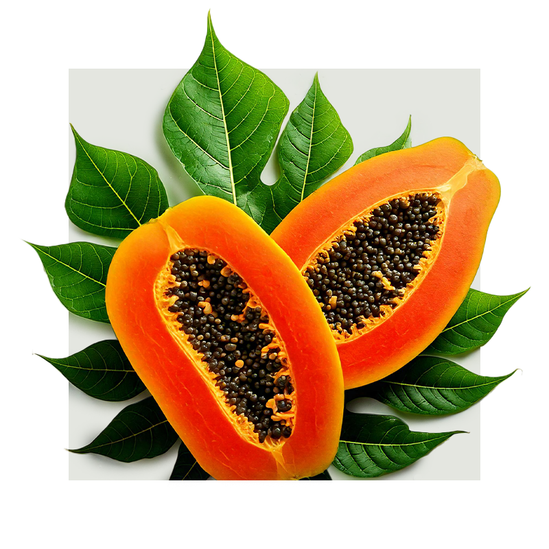 image of papaya