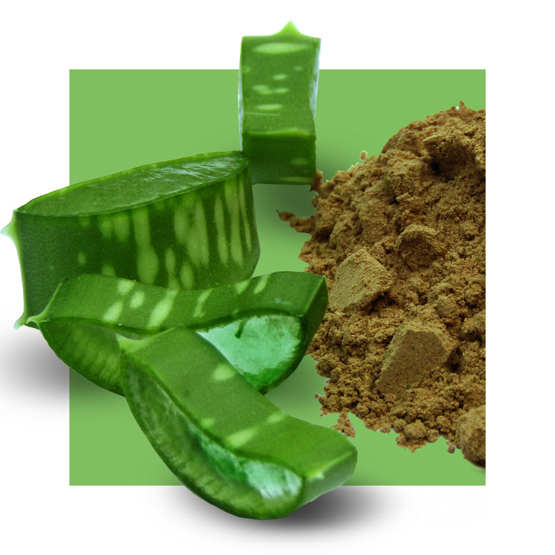 image of aloe powder next to cut aloe leaf