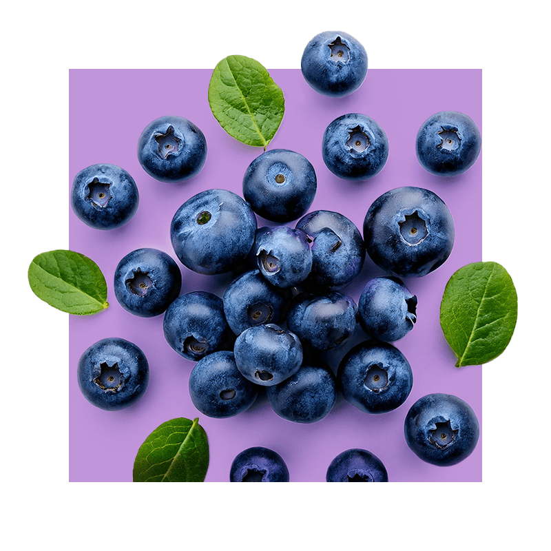 image of bilberries