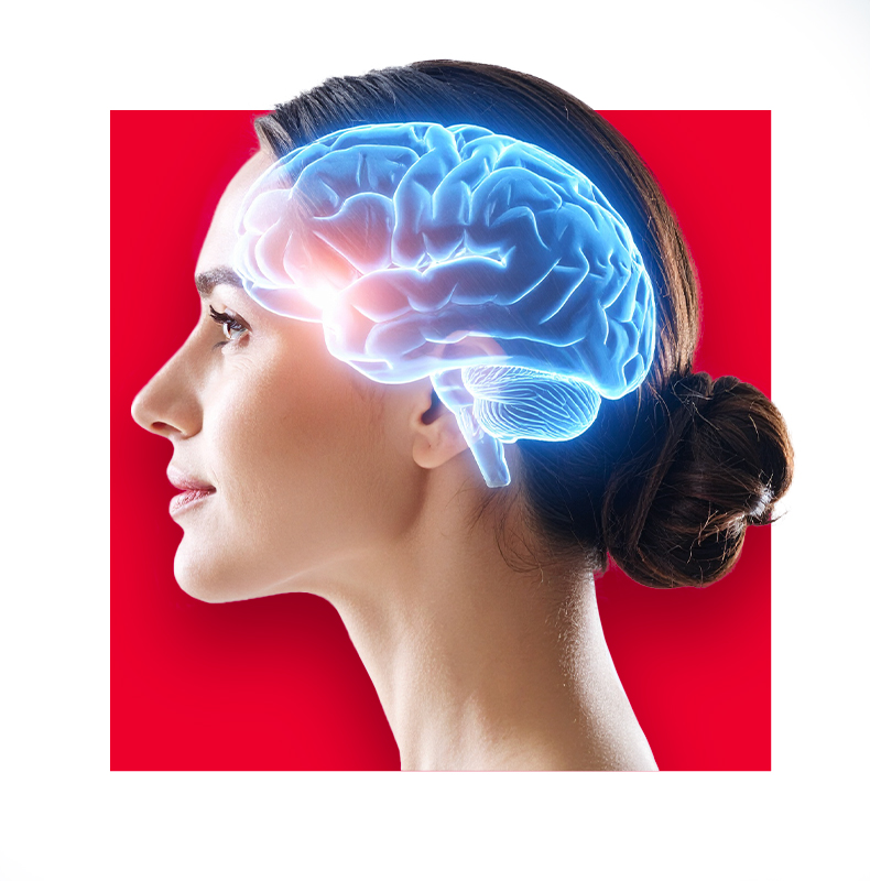 image of brain