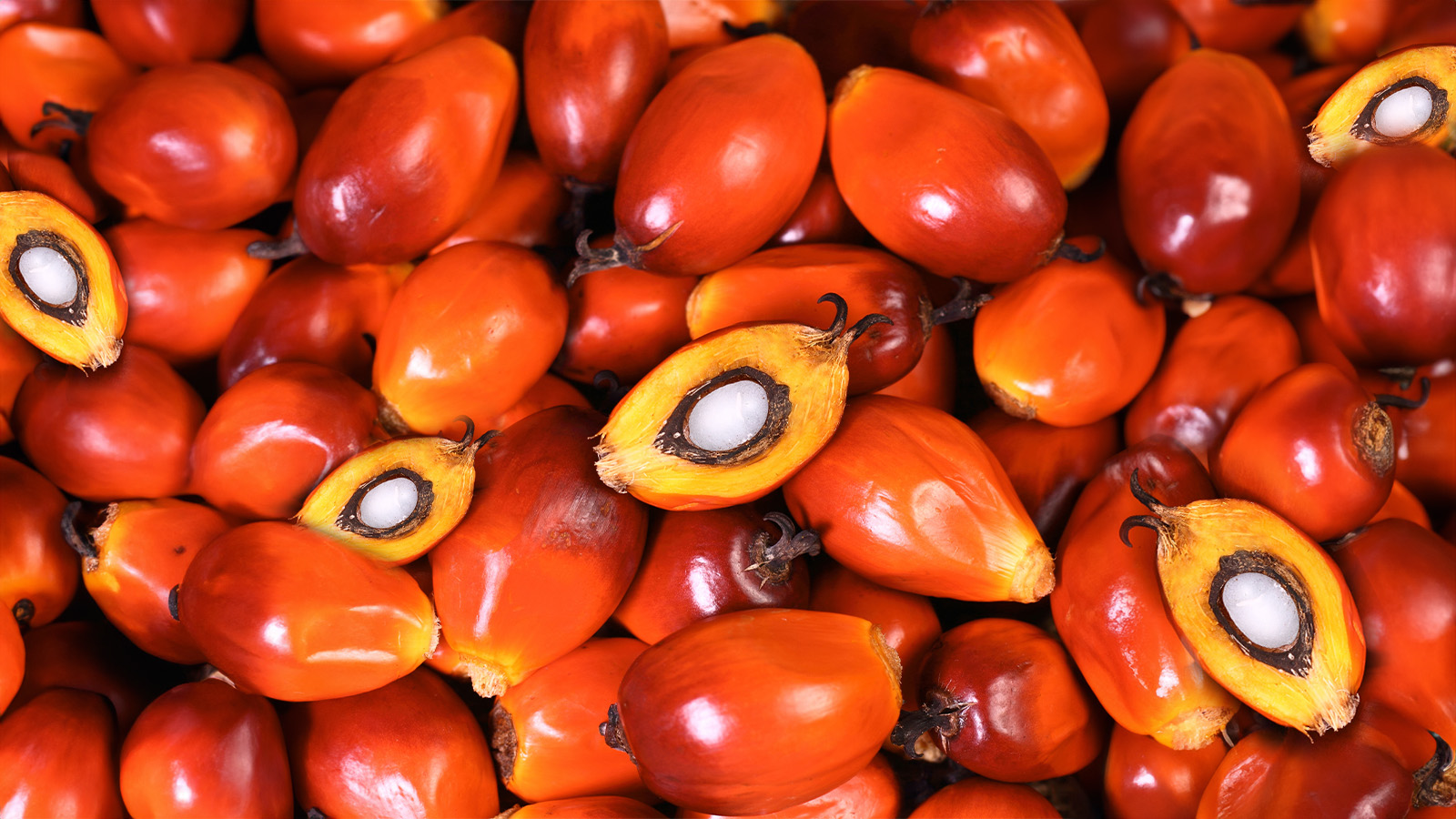 image of palm fruit