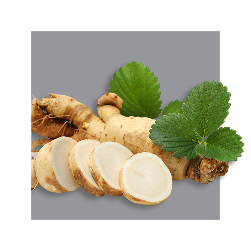 image of ginseng root
