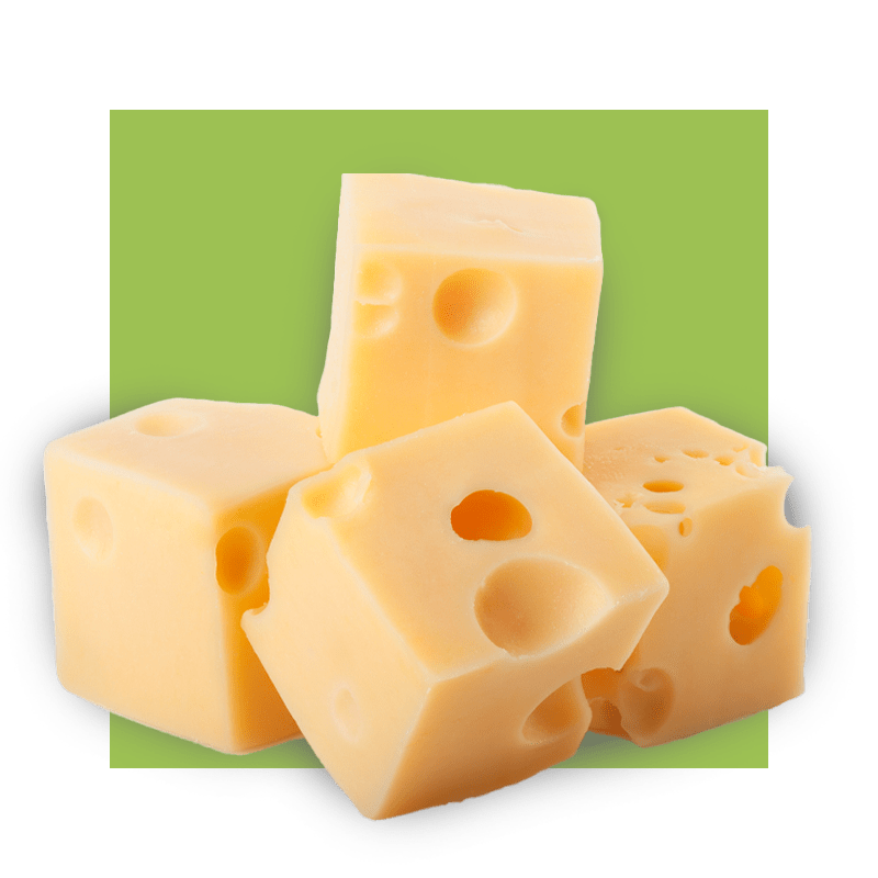 image of pieces of swiss cheese