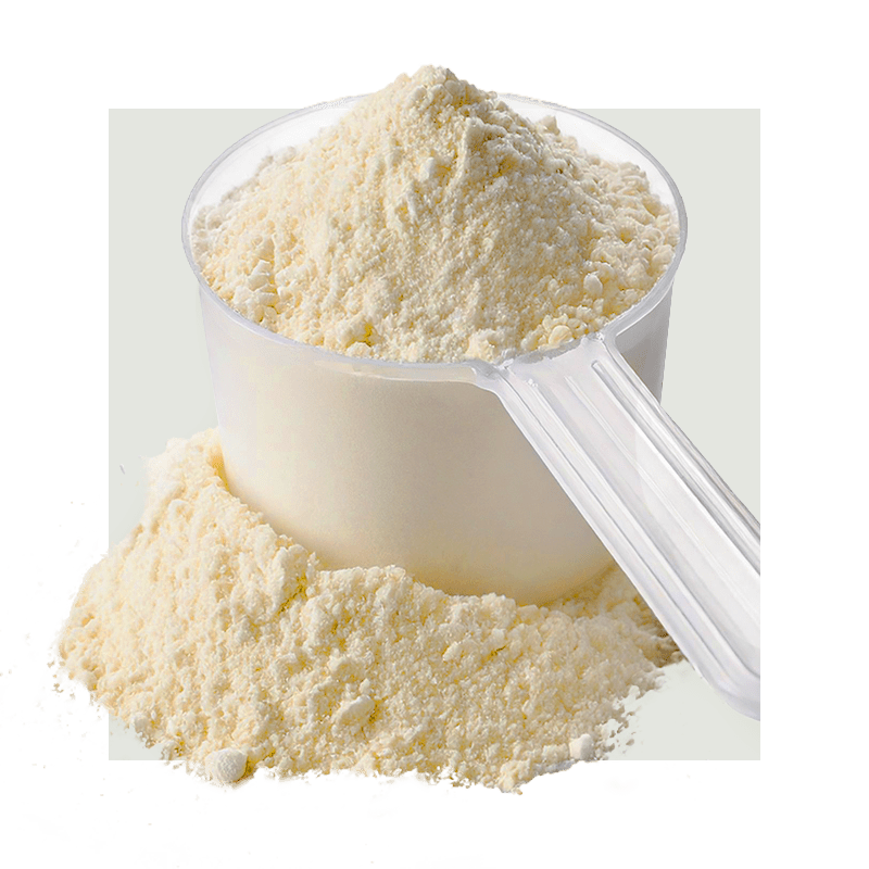 image of whey protein powder