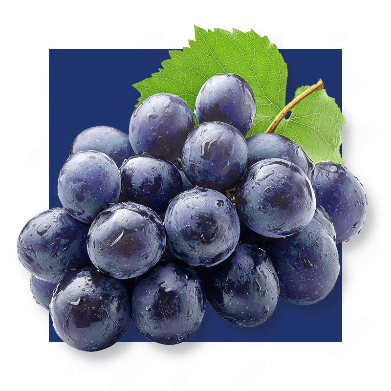 image of purple grapes