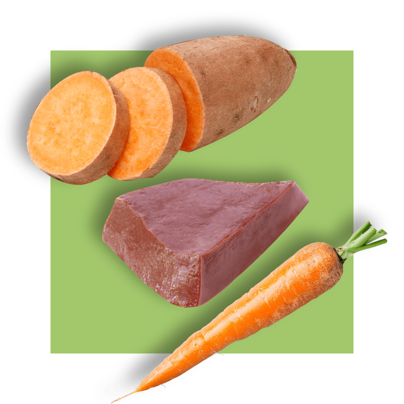 image of foods rich in vitamin A