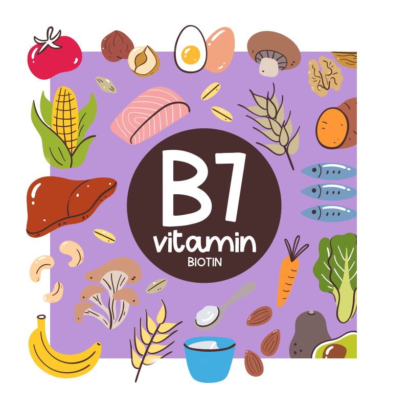 image of a B7