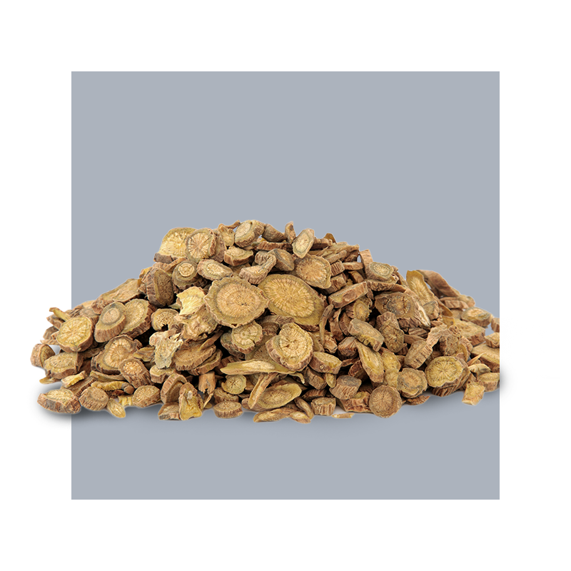 image of scutellaria root