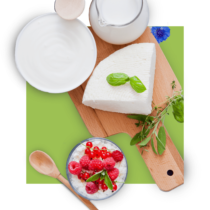 image containing different types of dairy products