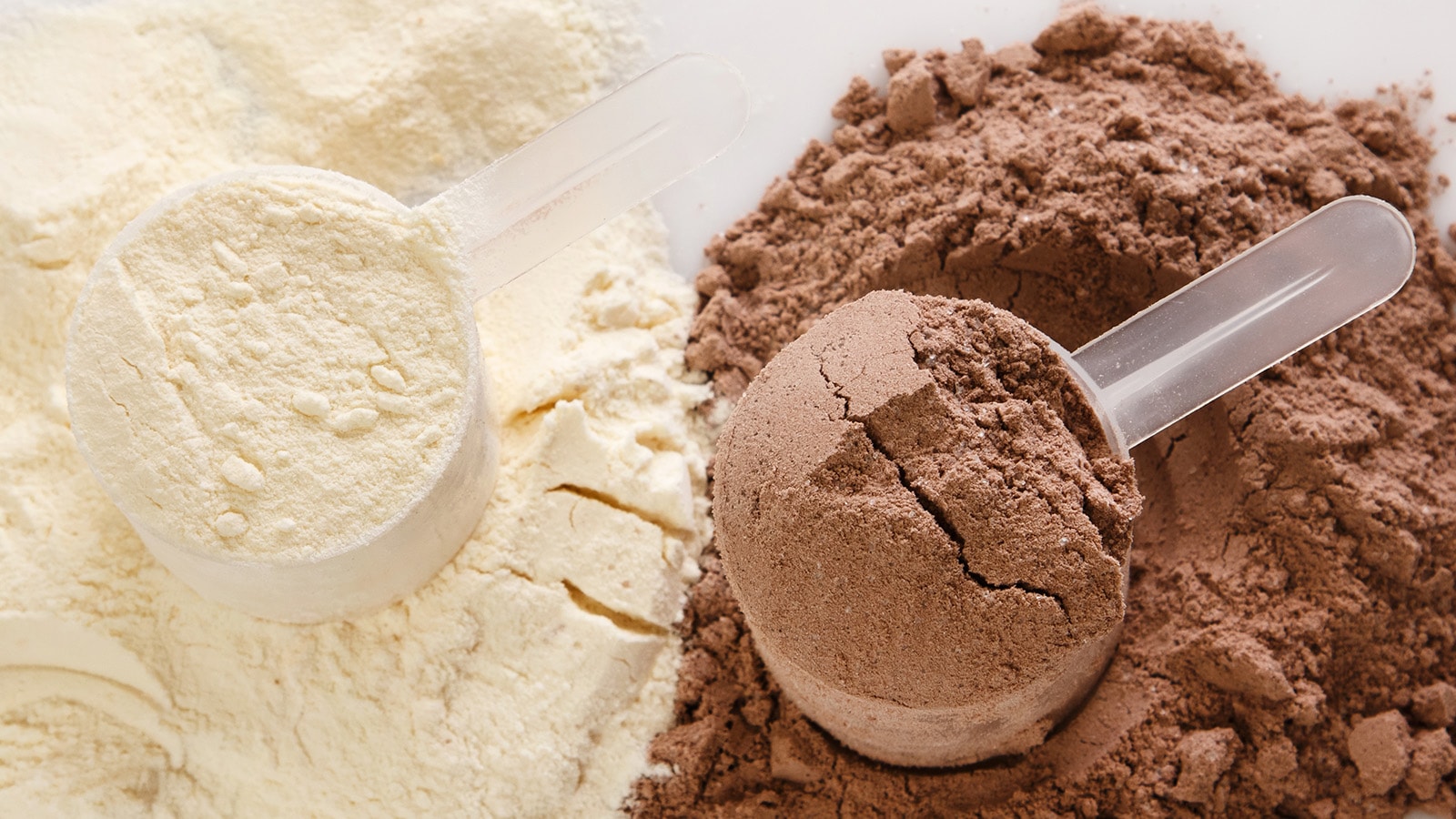image of protein powder