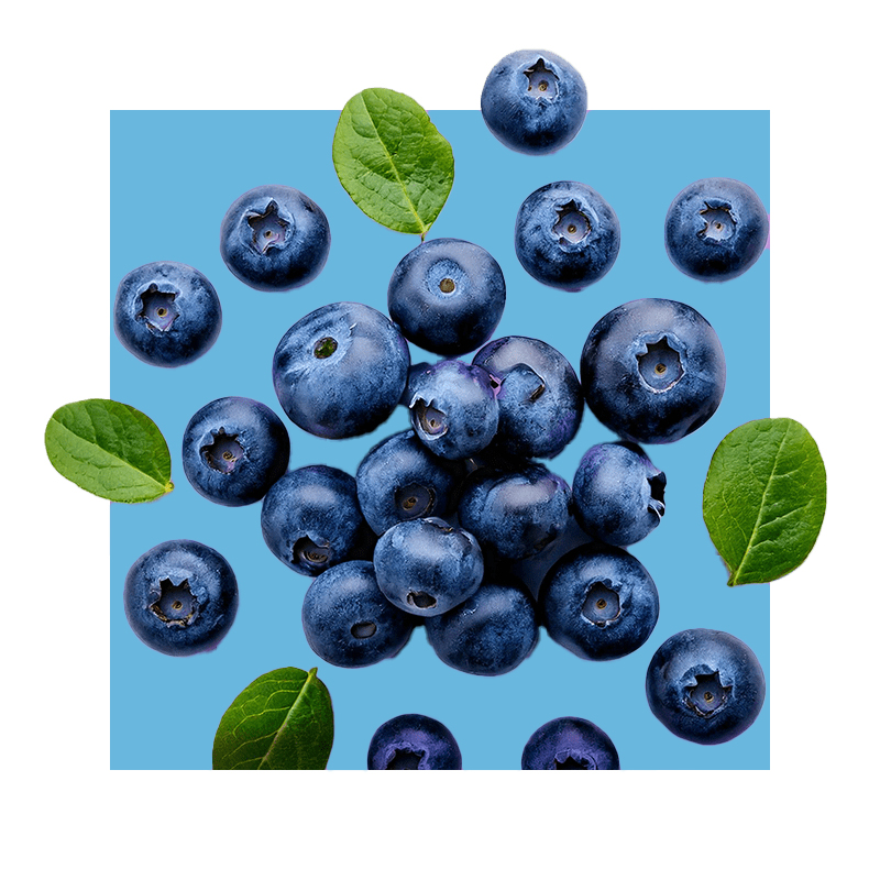 image of blueberries