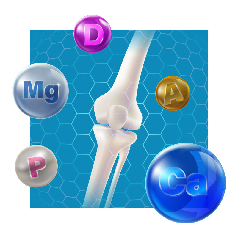 image of human bones with molecules of magnesium, vitamin d, vitamin a, potassium and calcium molecules