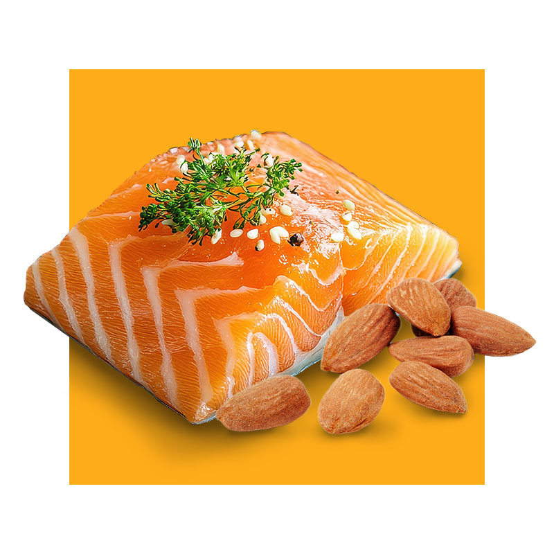 image of salmon and almonds