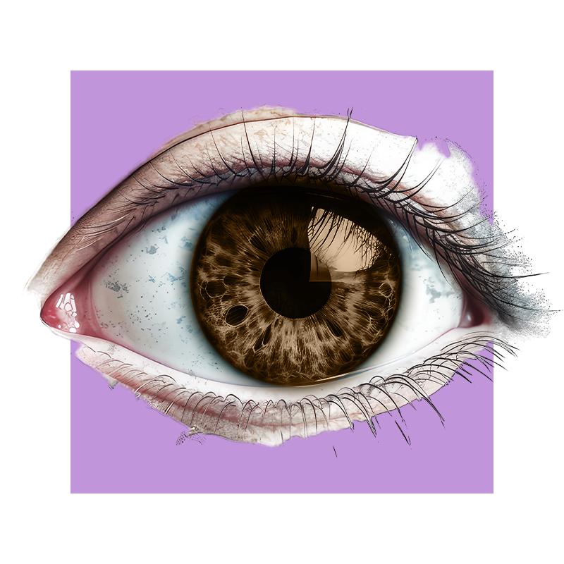 image of an eye