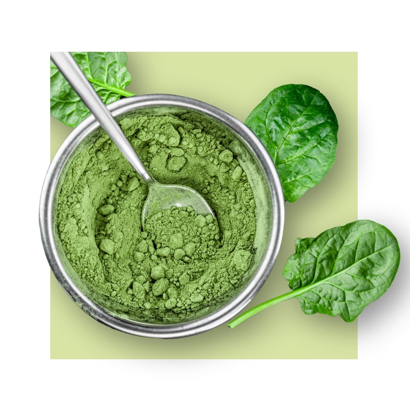 image of spinach powder