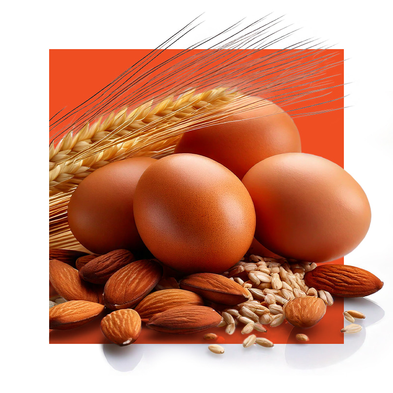 image of foods rich in B2 - eggs, grains, almonds