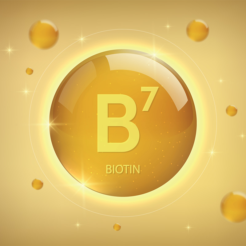 image of circle with text B7 - Biotin
