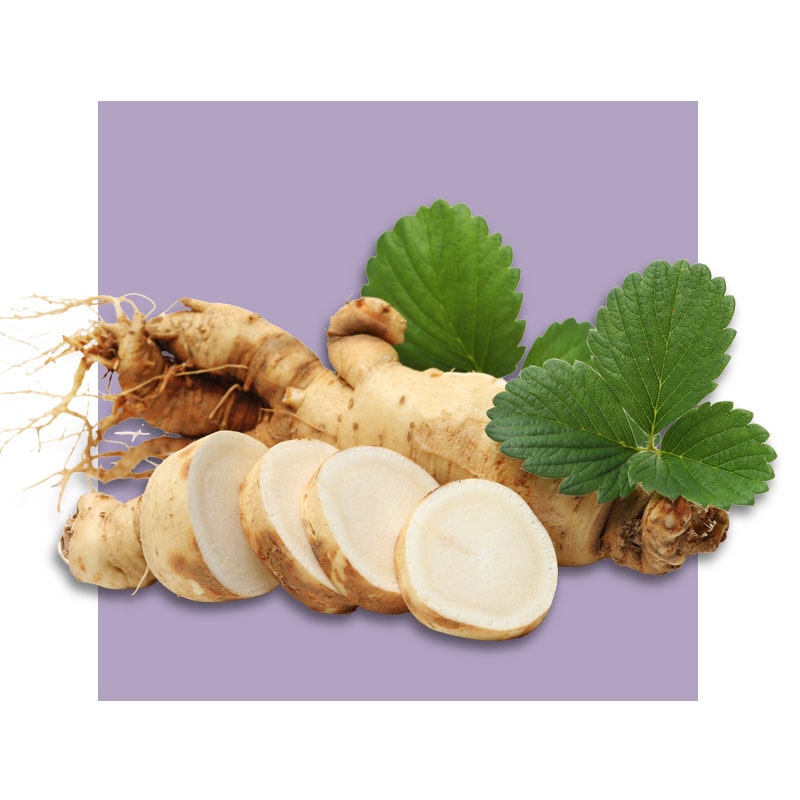 image of ginseng root and leaves