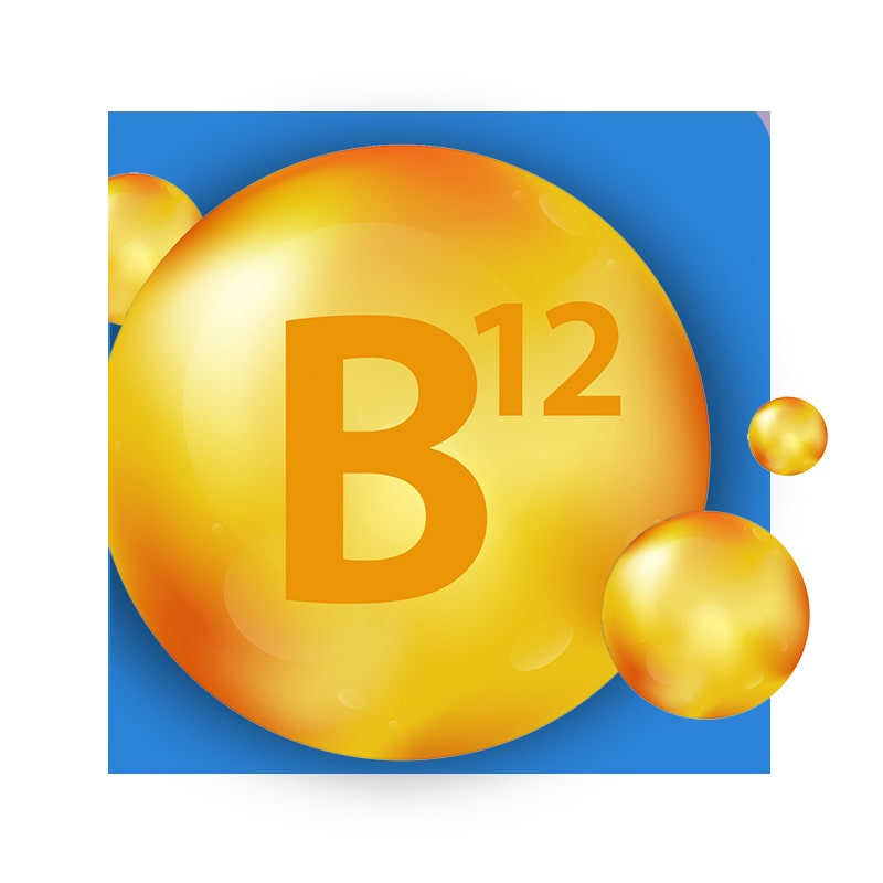 B12 image