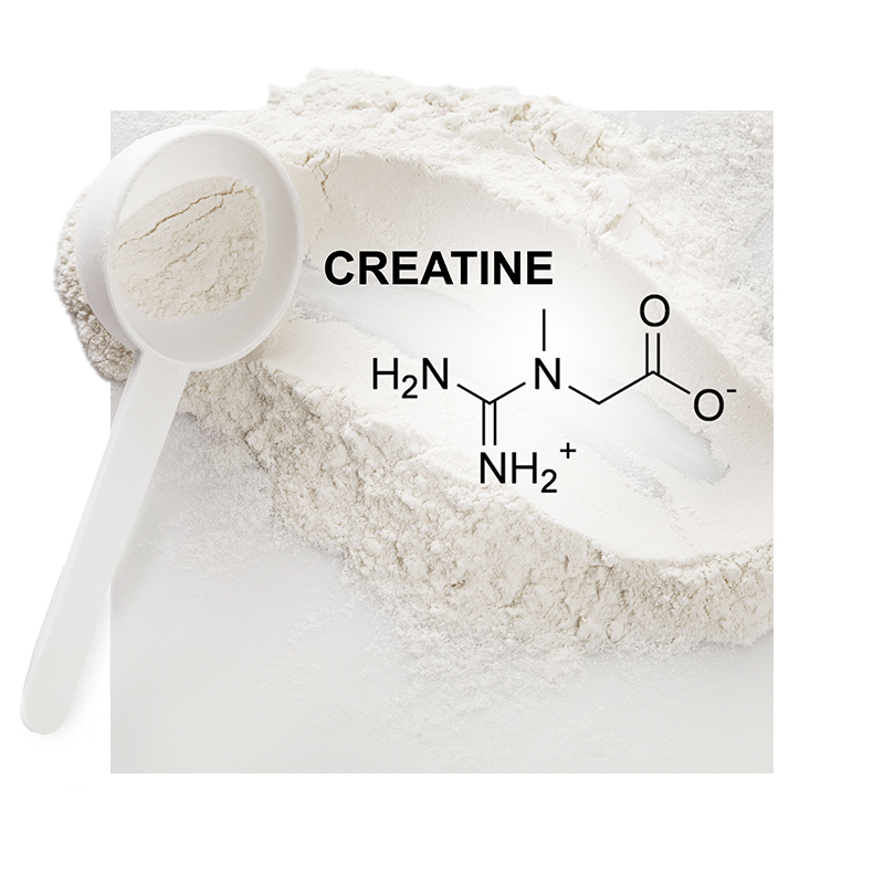 image of creatine monohydrate molecule
