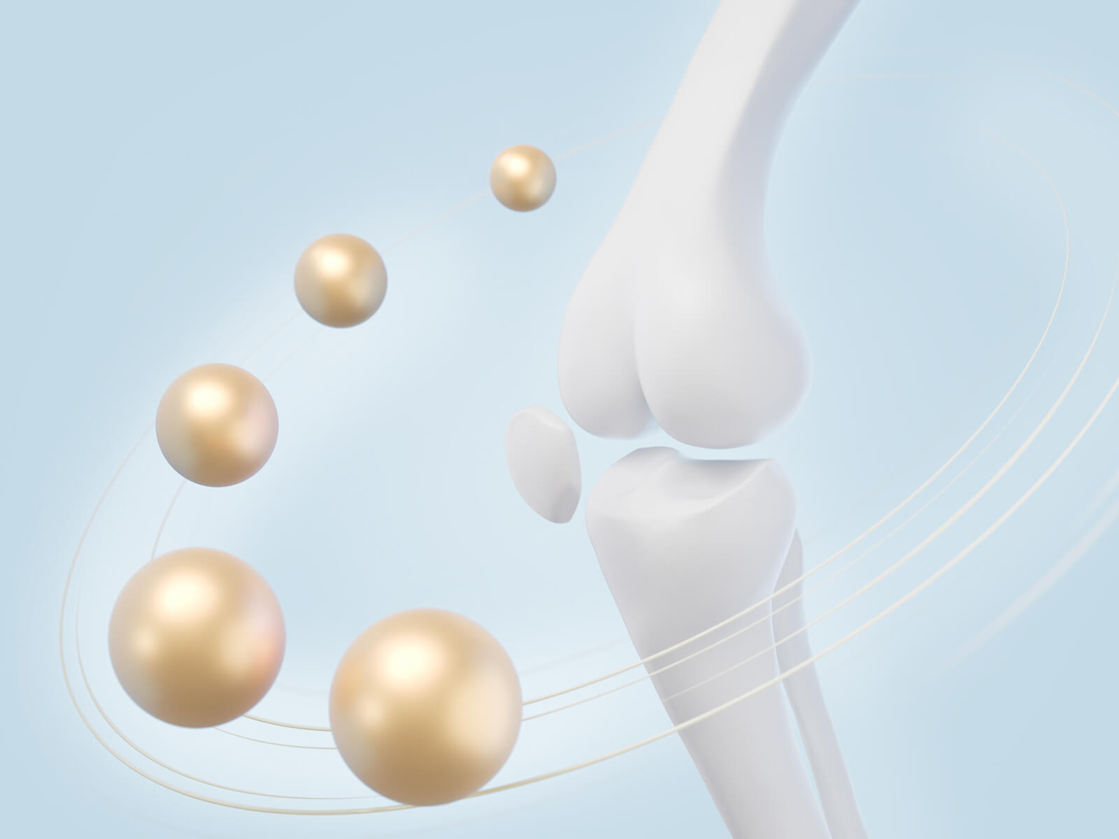 image of a knee joint