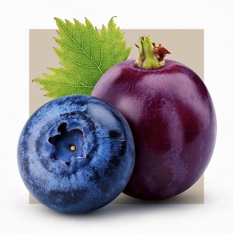 blueberry and grape