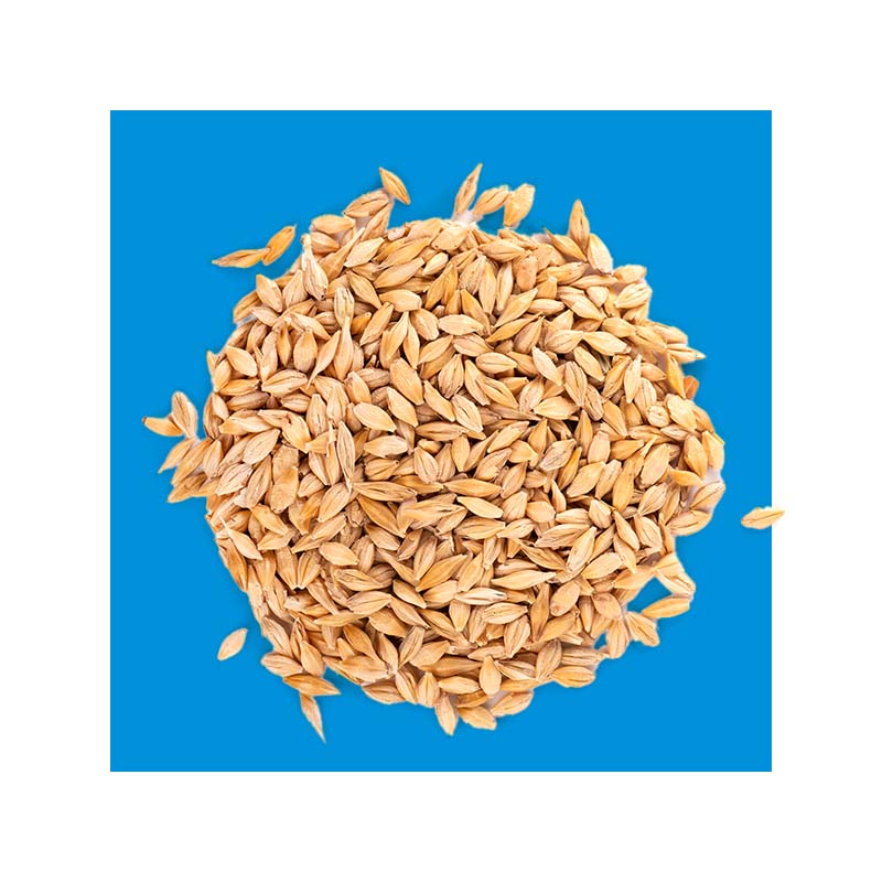 image of grain