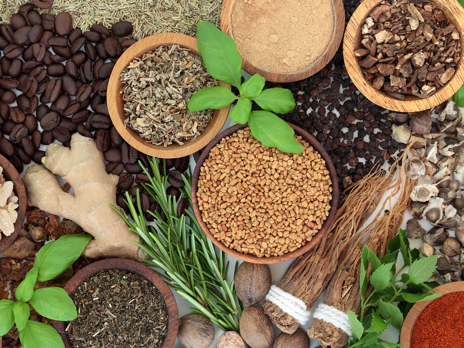 image of different types of adaptogenic herbs