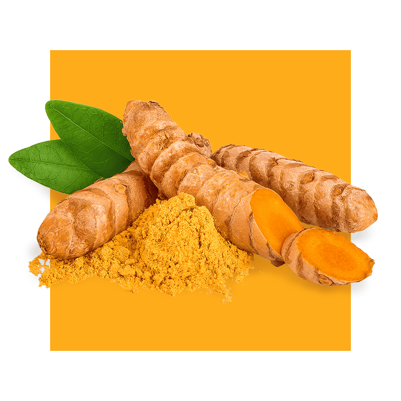 image of curcumin root