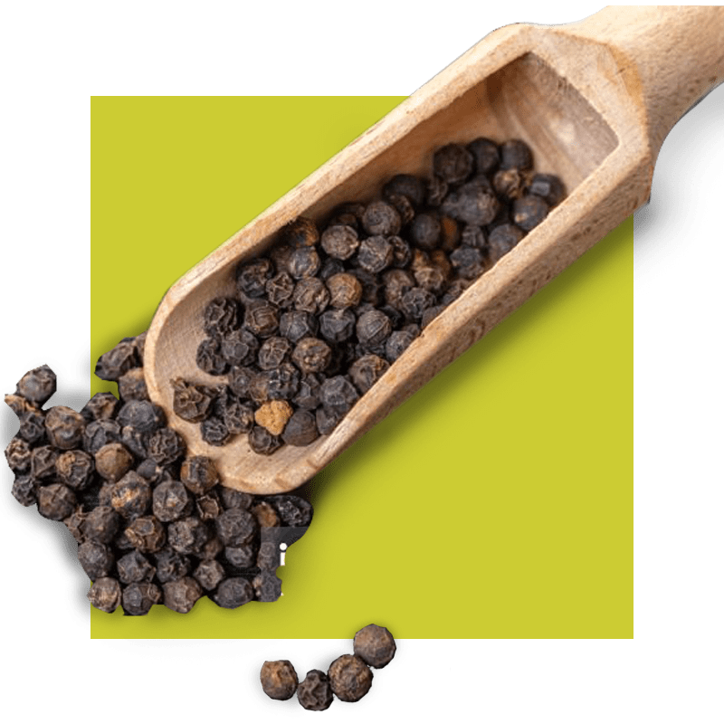 black pepper for black pepper extract