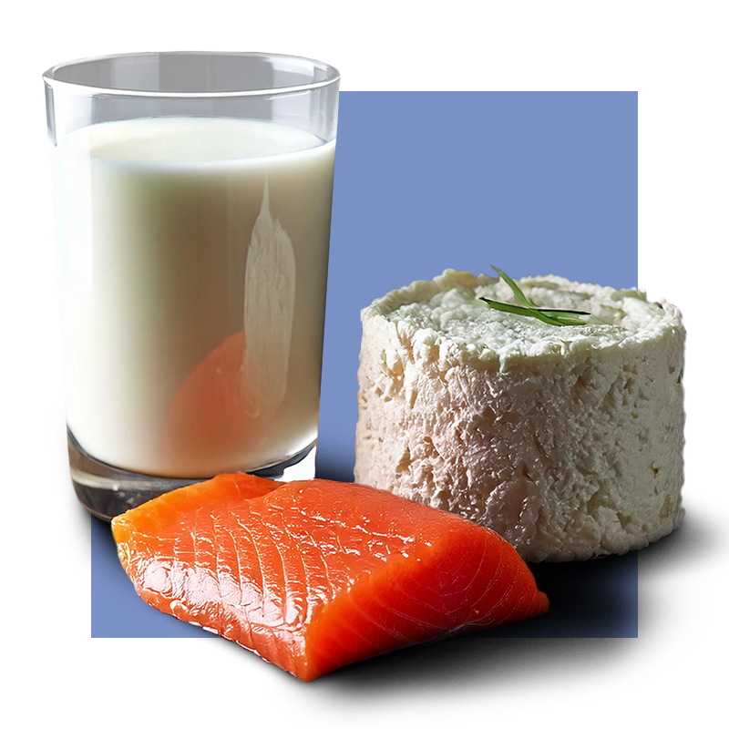 image of foods rich in B6 - milk, ricotta cheese, salmon