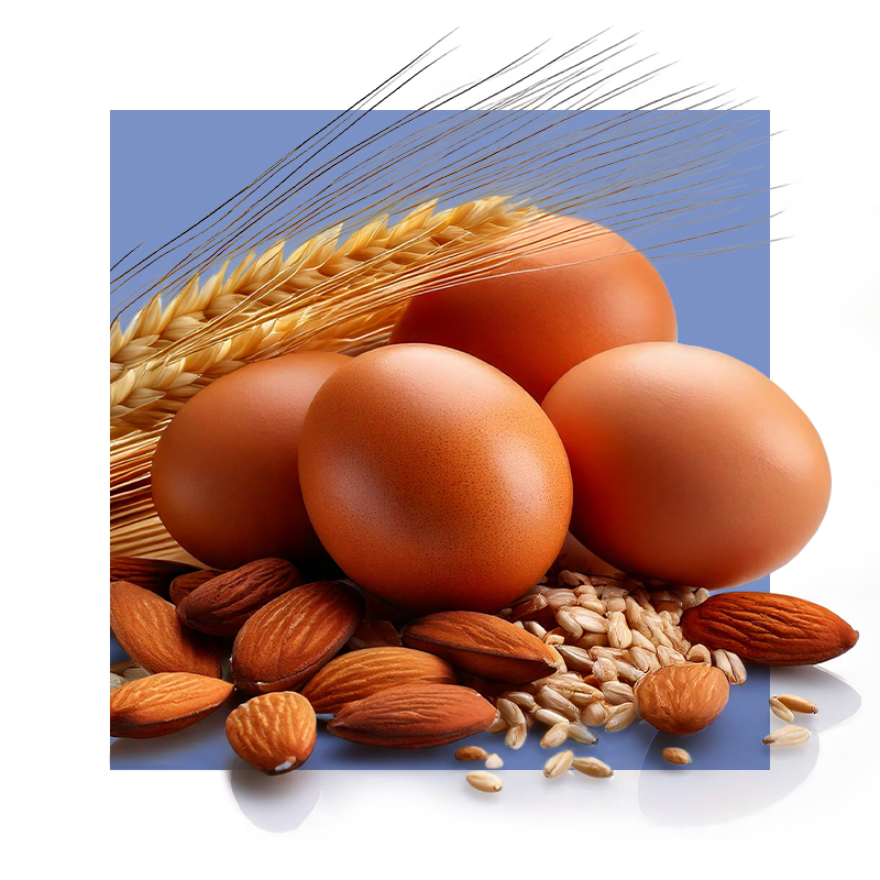 image of foods rich in B2 - eggs, almonds, grains