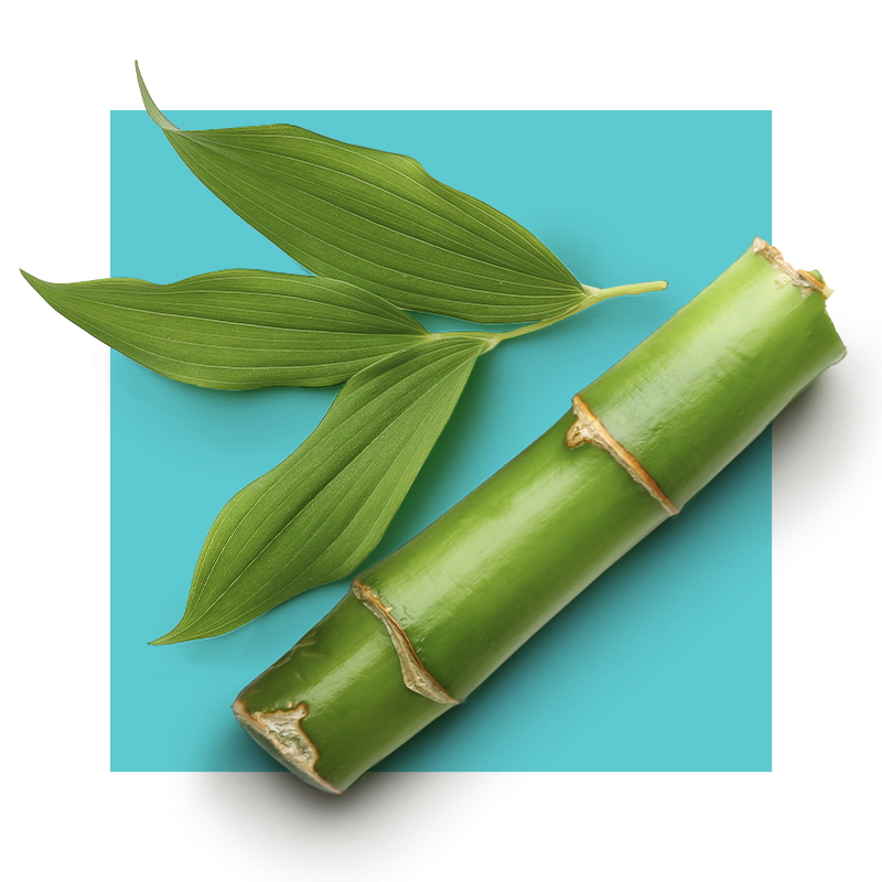 image of bamboo extract