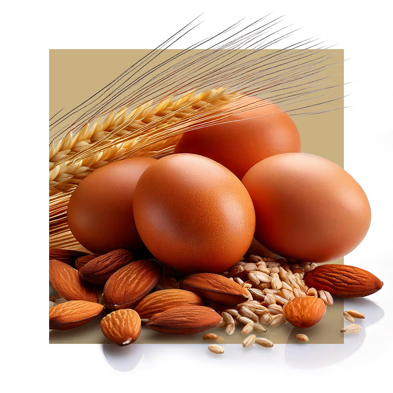image of grains, nuts, and eggs