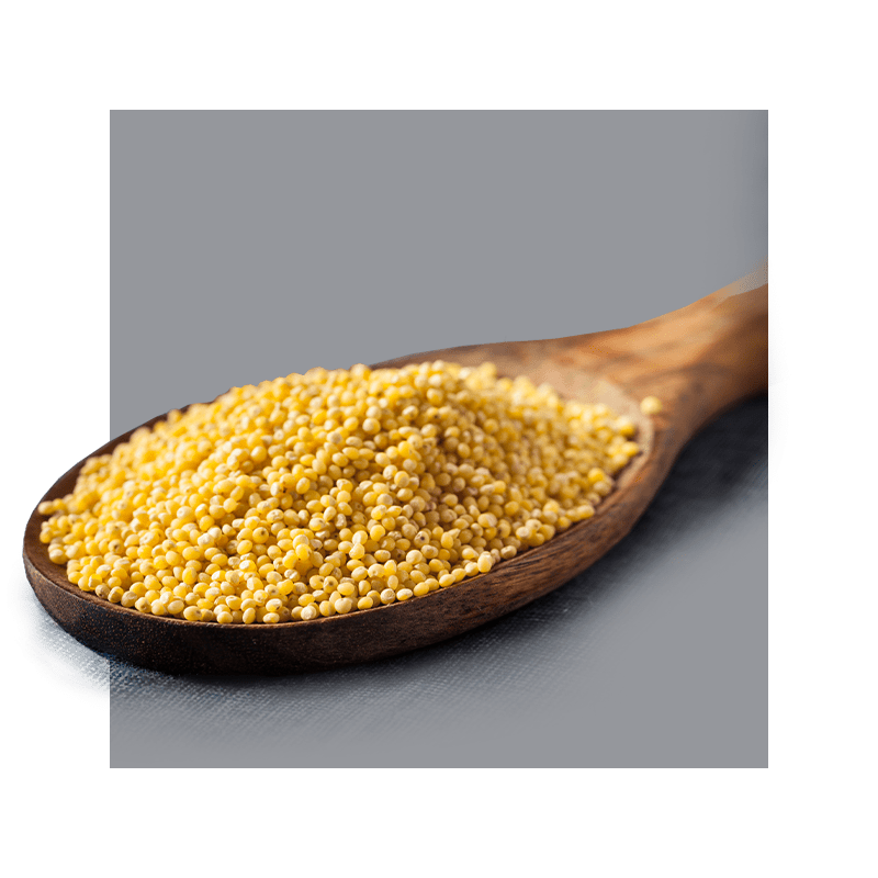 image of wooden spoon full of millet