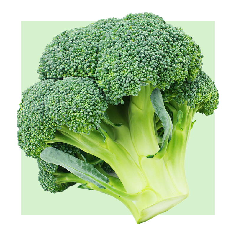 image of broccoli