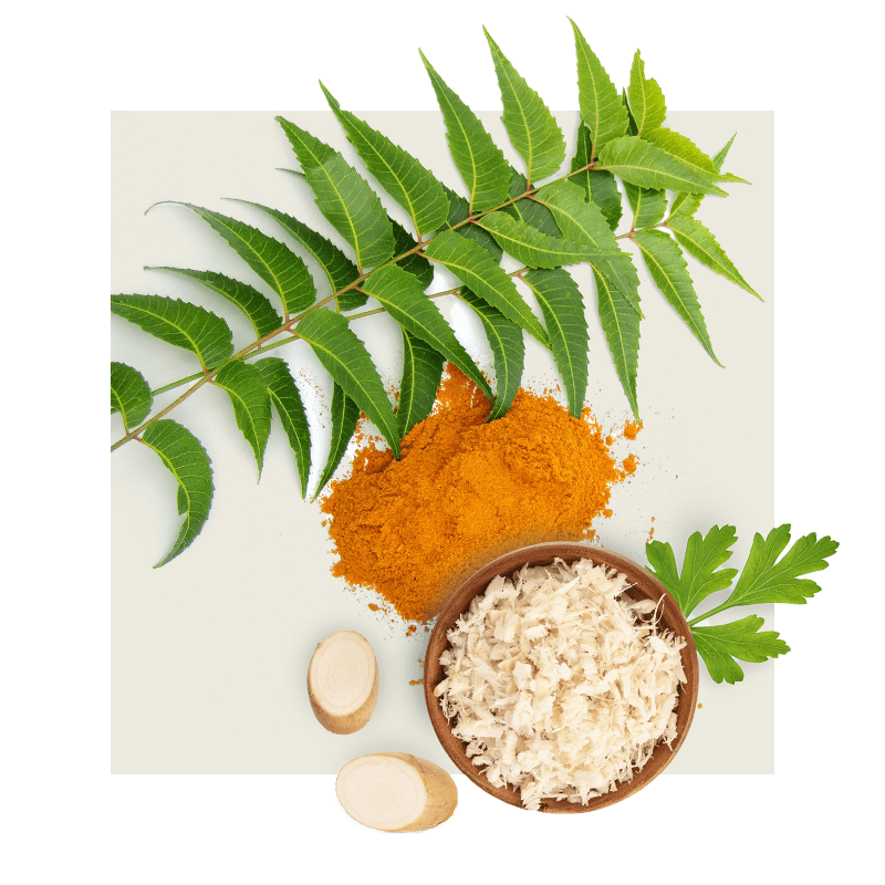 image of horseradish and curry powder