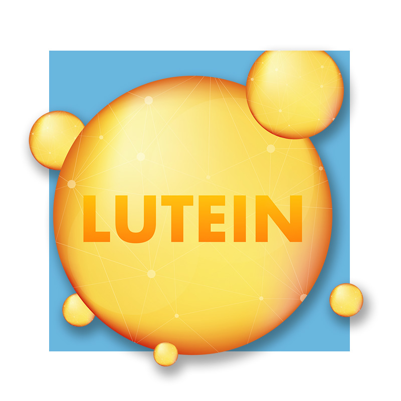 image of a molecule with the word lutein on it