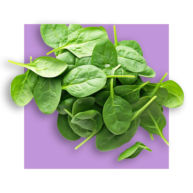 image of spinach leaves