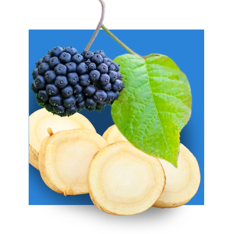 Ginseng