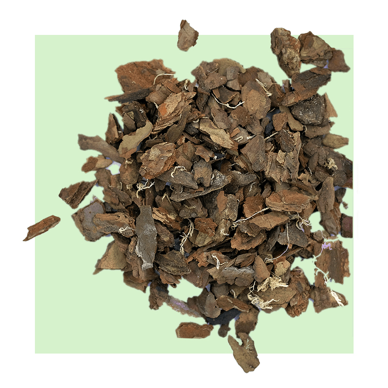 image of pine bark