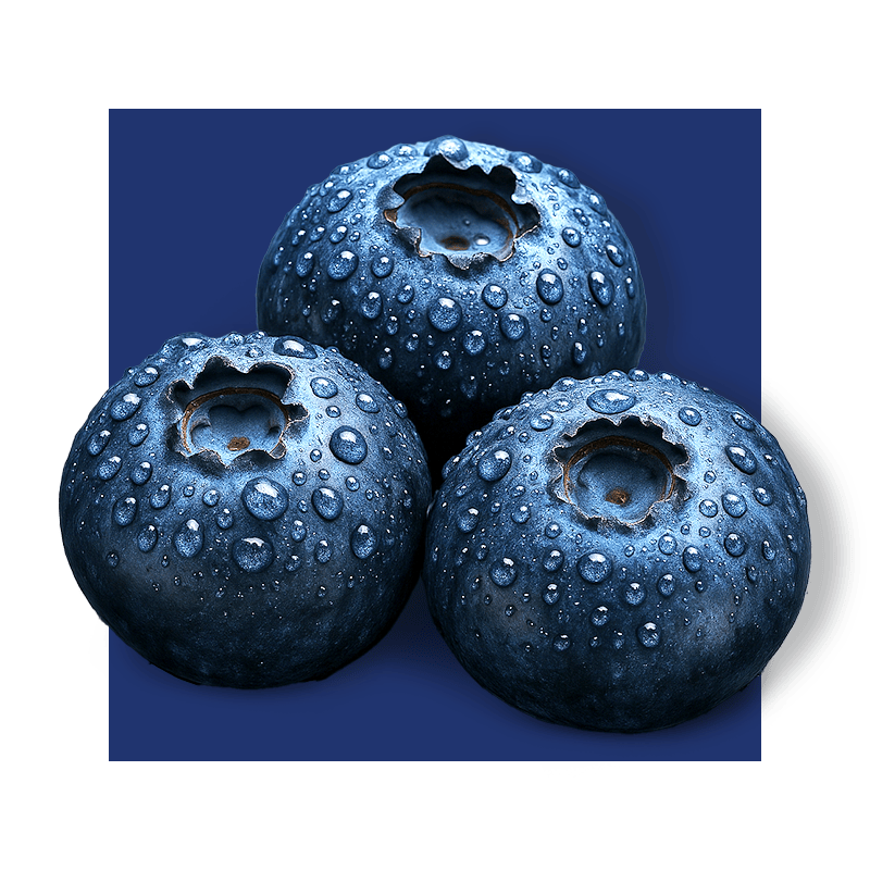 image of blueberries
