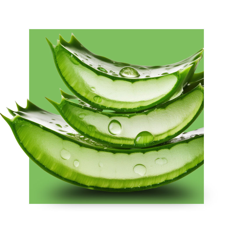 image of aloe leave