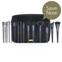 Motives® 15-Piece Pro Brush Set Special